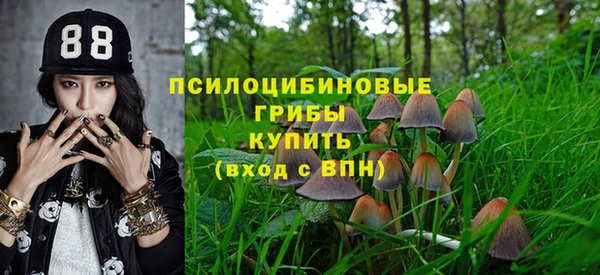 mdpv Заволжье