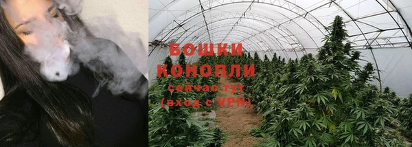тгк Заводоуковск