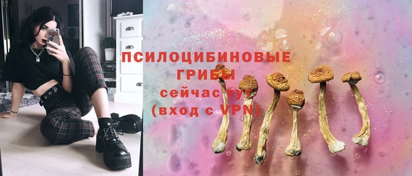mdpv Заволжье